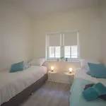 Apartment Luxury Upstairs & Downstairs Zandvoort