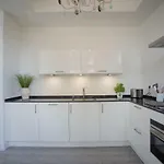 Luxury Upstairs & Downstairs Apartment