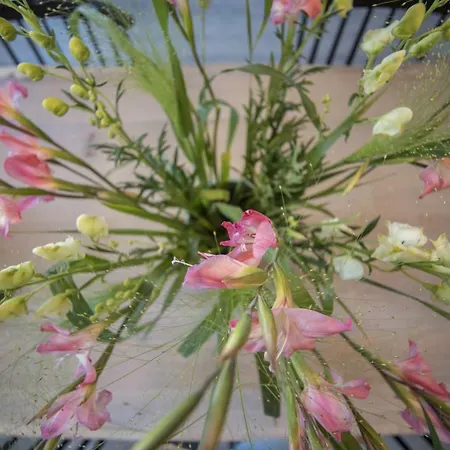 Luxury Upstairs&downstairs