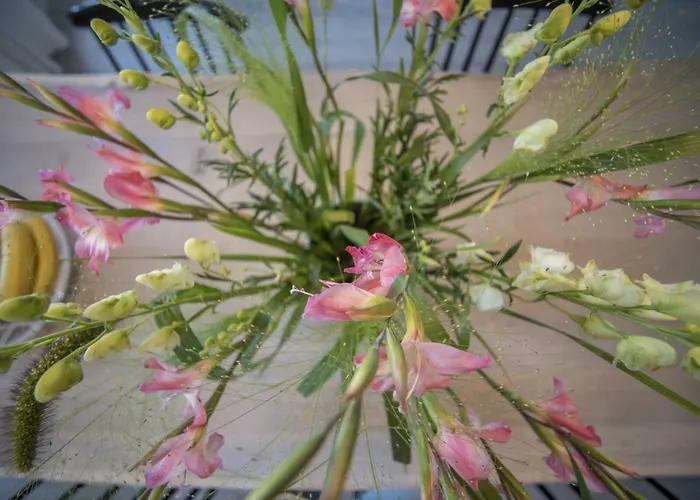 Luxury Upstairs & Downstairs